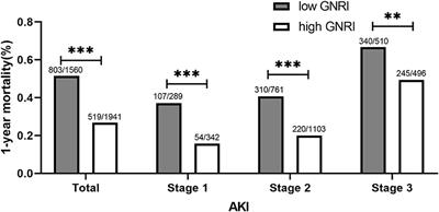 The prognostic effects of the geriatric nutritional risk index on elderly acute kidney injury patients in intensive care units